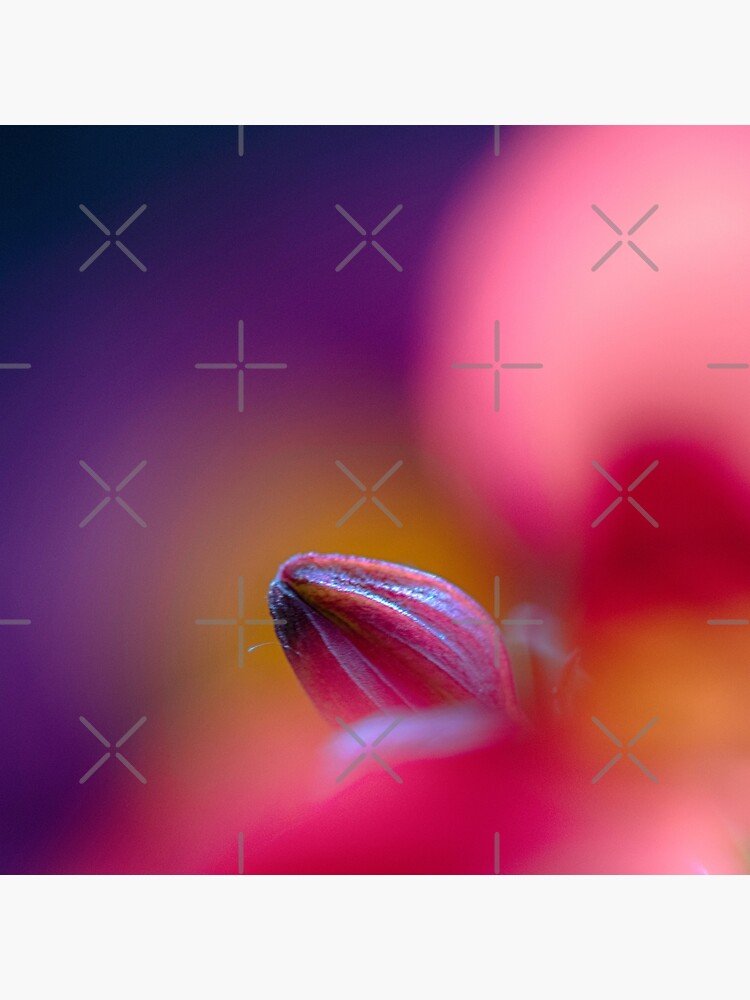 Flower Mystical by WendyLeyten