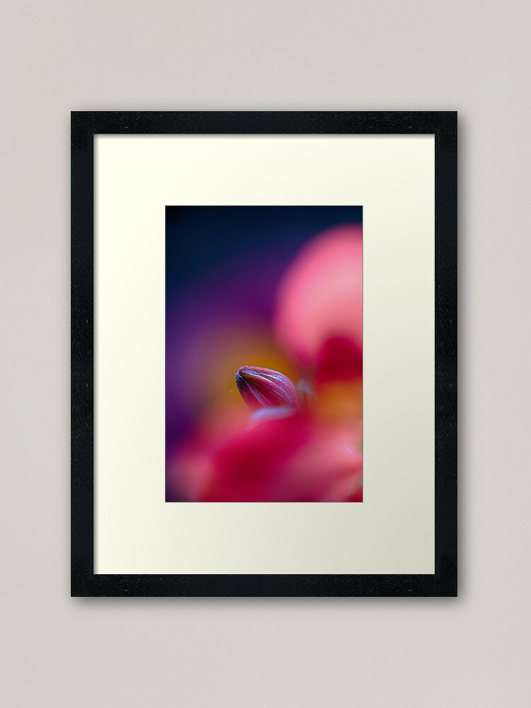 Alternate view of Flower Mystical Framed Art Print