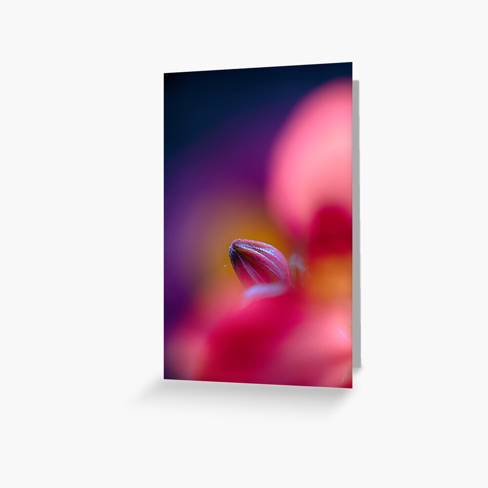 Flower Mystical Greeting Card