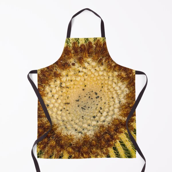 Item preview, Cactus plants on Lanzarote designed and sold by Photopat.