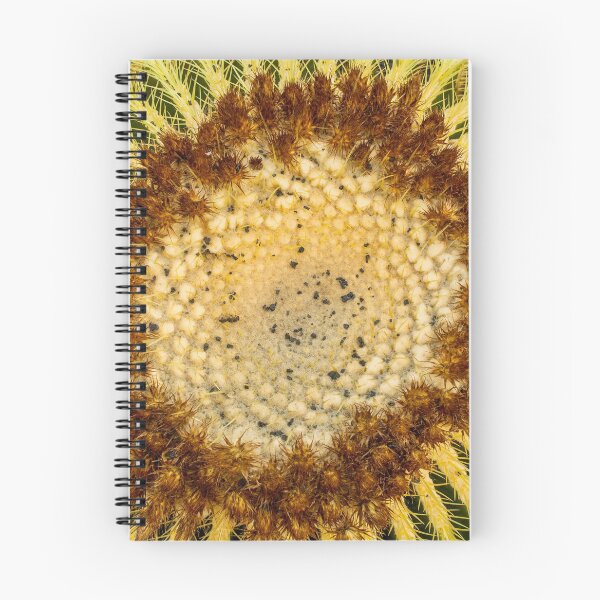 Item preview, Cactus plants on Lanzarote designed and sold by Photopat.