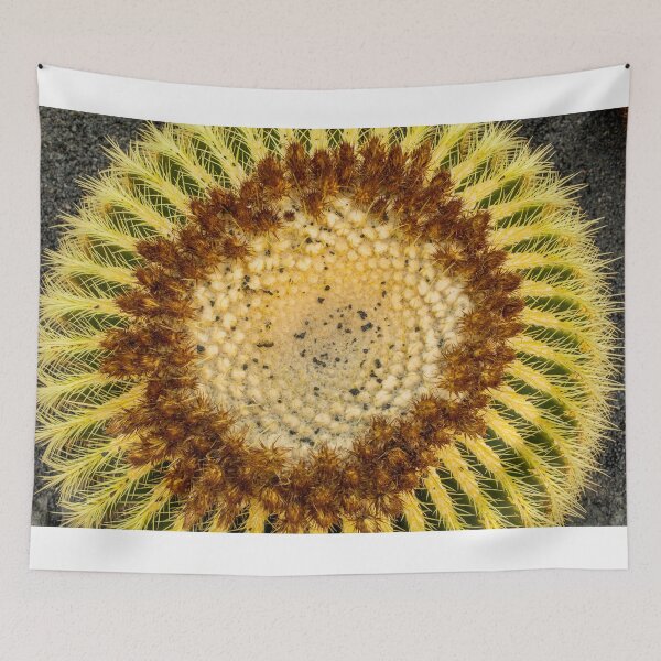 Item preview, Cactus plants on Lanzarote designed and sold by Photopat.