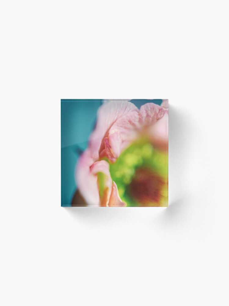 Alternate view of Flower Mystical Acrylic Block