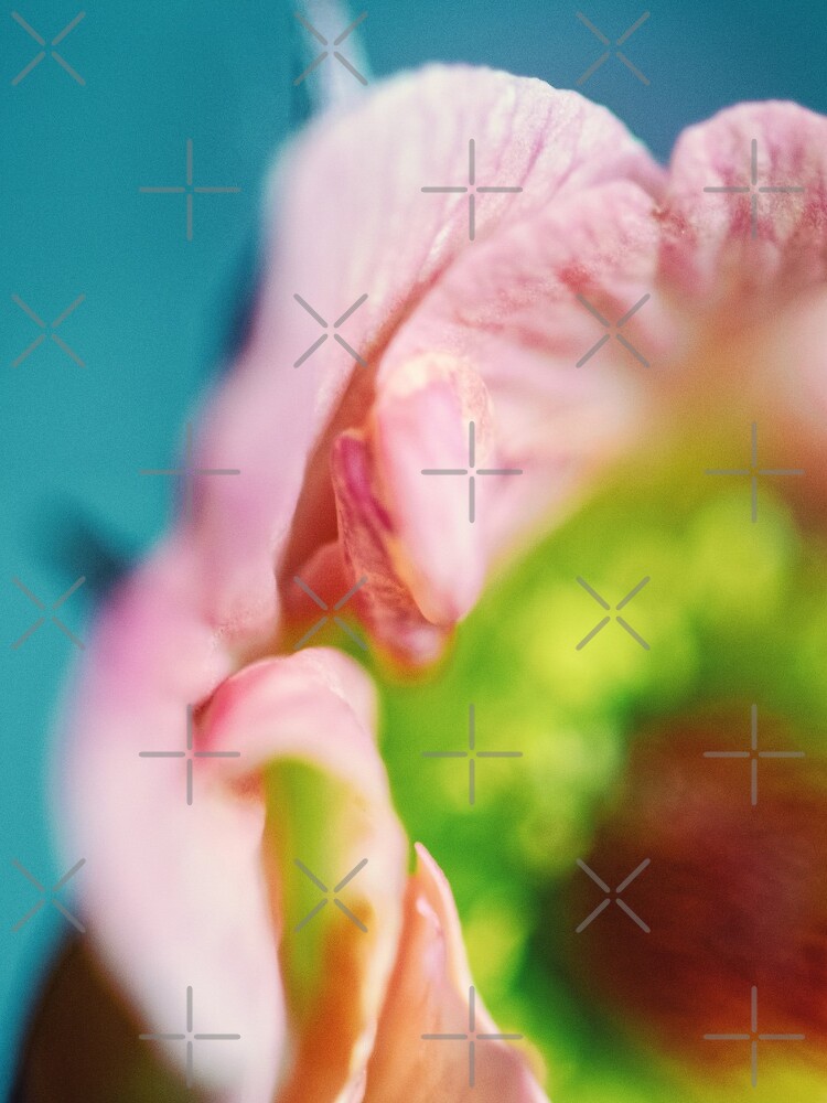 Flower Mystical by WendyLeyten