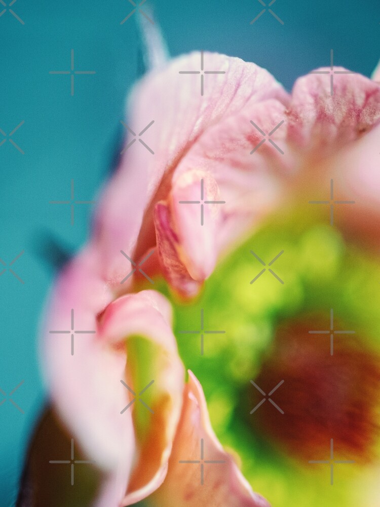 Flower Mystical by WendyLeyten
