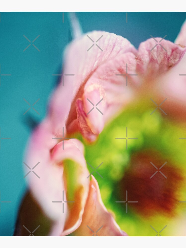 Flower Mystical by WendyLeyten