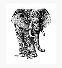 Ornate Elephant v.2 Photographic Print