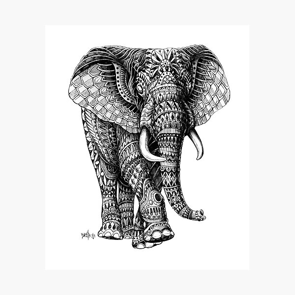Ornate Elephant v.2 Photographic Print