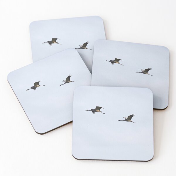 Item preview, Voices from the sky. Eurasian Crane designed and sold by Jouko Lehto Photography.