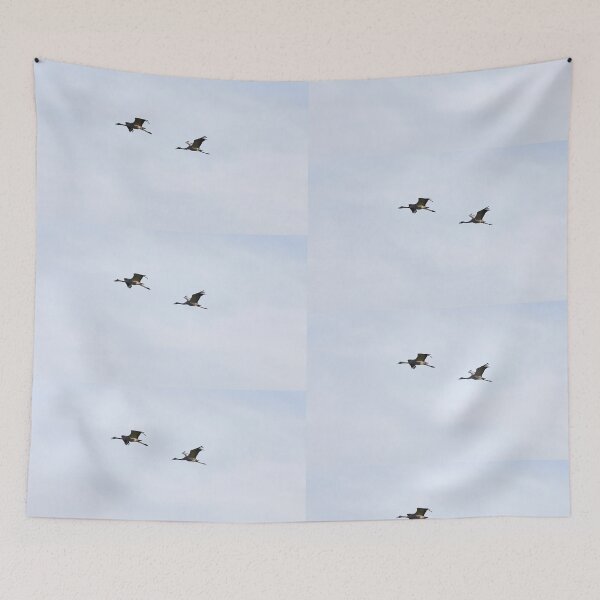 Item preview, Voices from the sky. Eurasian Crane designed and sold by Jouko Lehto Photography.