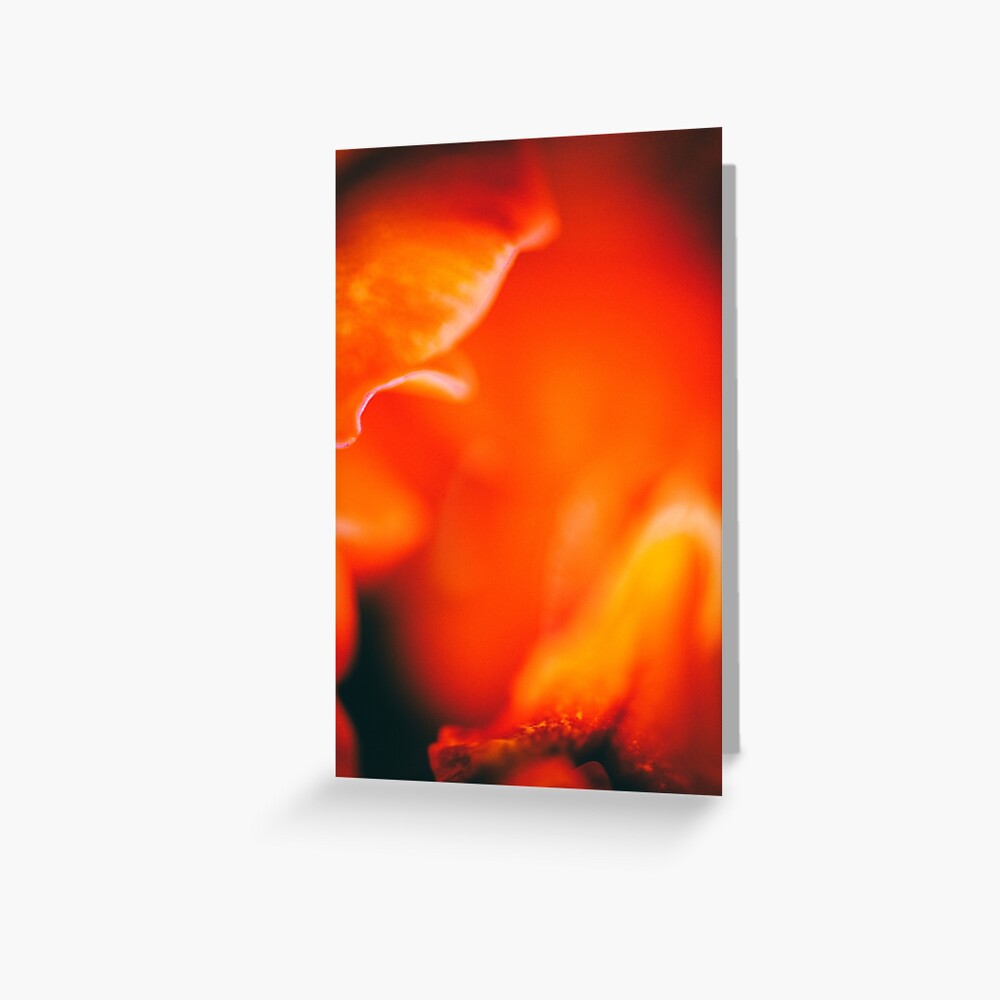 Flower Mystical Greeting Card