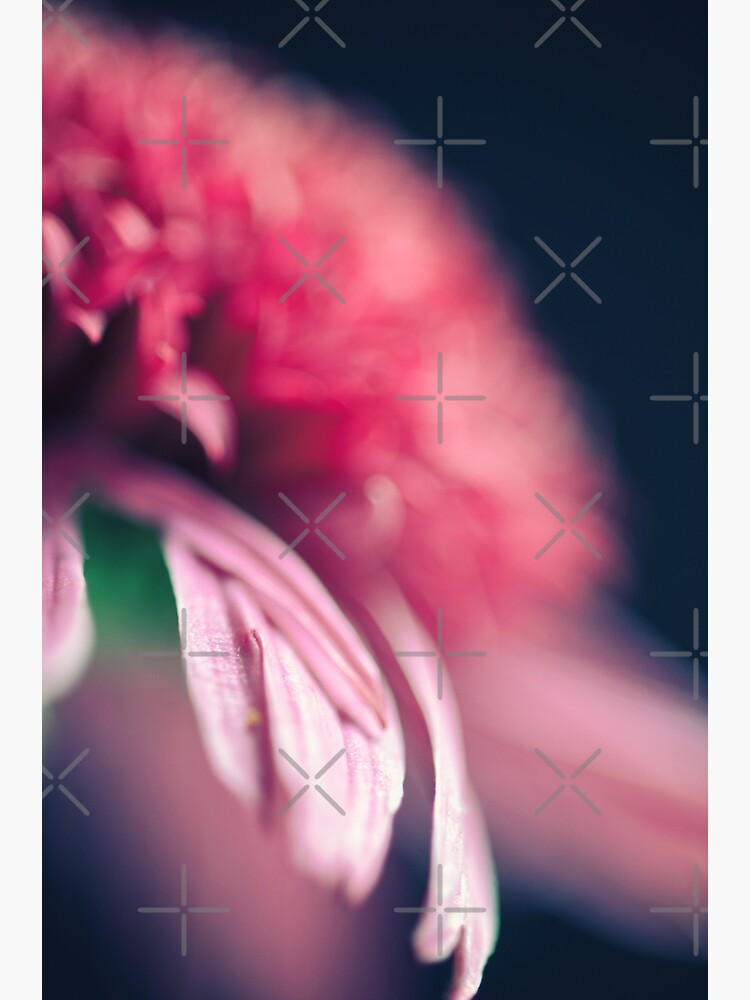 Flower Mystical by WendyLeyten