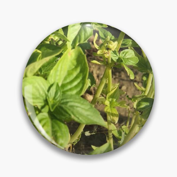 Item preview, basil leaf ? designed and sold by stelabora.