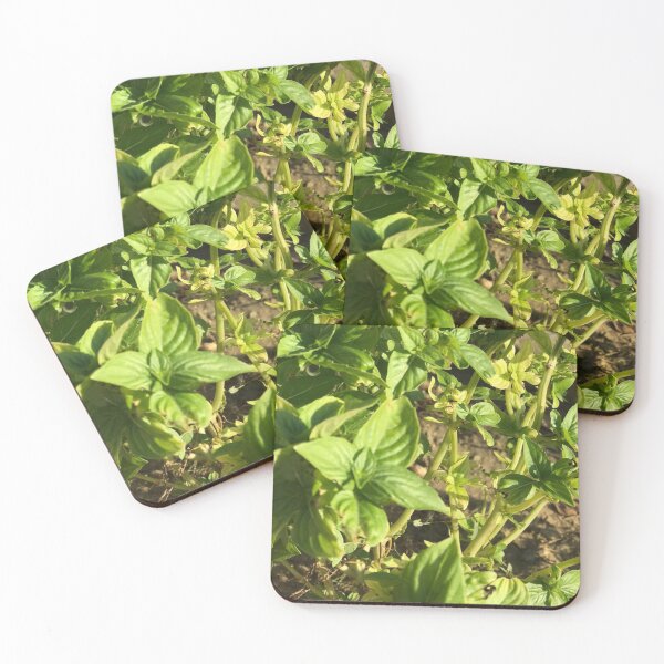 Item preview, basil leaf ? designed and sold by stelabora.