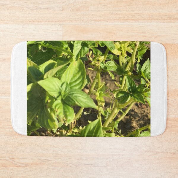 Item preview, basil leaf ? designed and sold by stelabora.