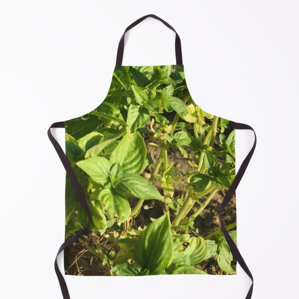 Item preview, basil leaf ? designed and sold by stelabora.