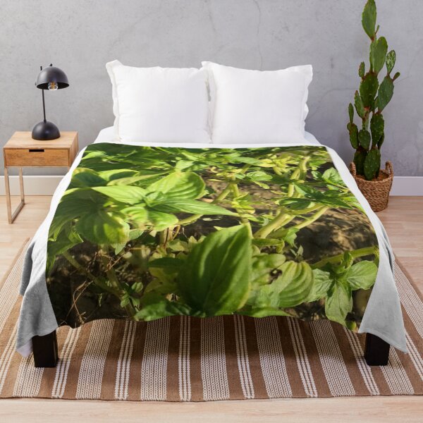 Item preview, basil leaf ? designed and sold by stelabora.
