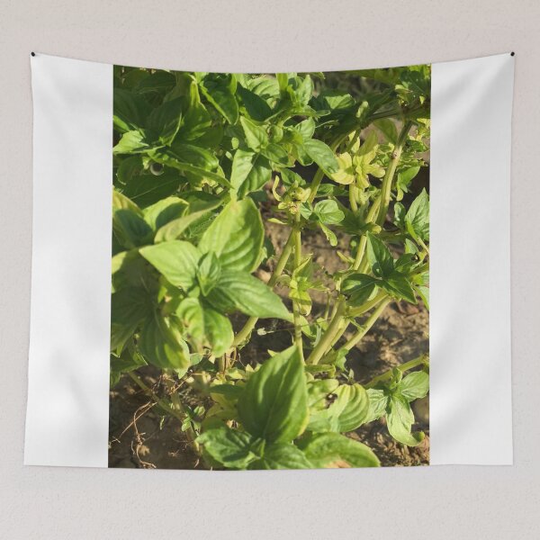 Item preview, basil leaf ? designed and sold by stelabora.