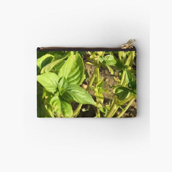 Item preview, basil leaf ? designed and sold by stelabora.