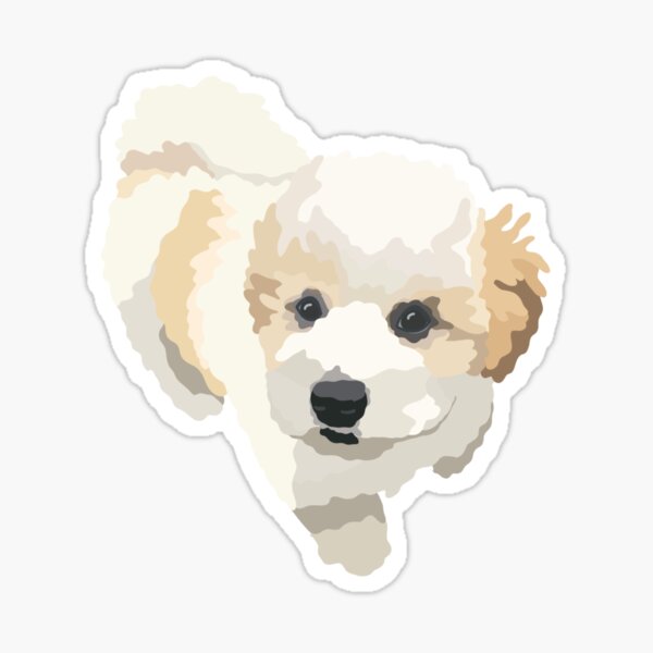Item preview, White Havachon Dog Portrait Digital Illustration designed and sold by sherylwylie.