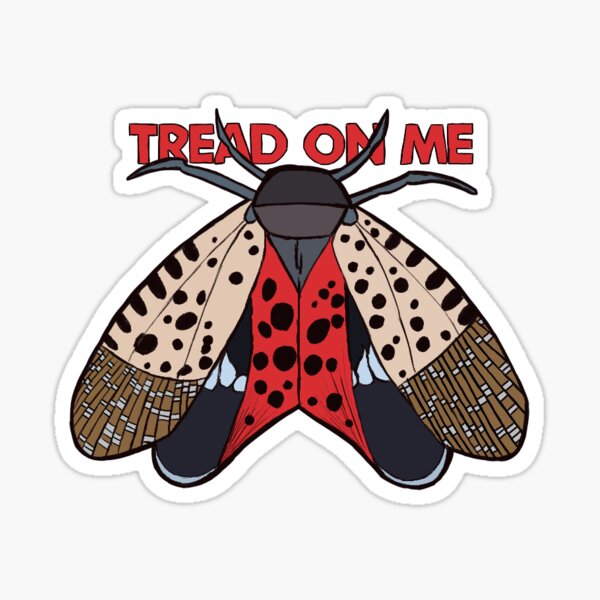 Item preview, Lanternfly Tread On Me designed and sold by theweaselking.