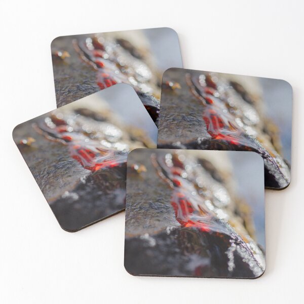 Item preview, Essence designed and sold by KazzaKphotos.