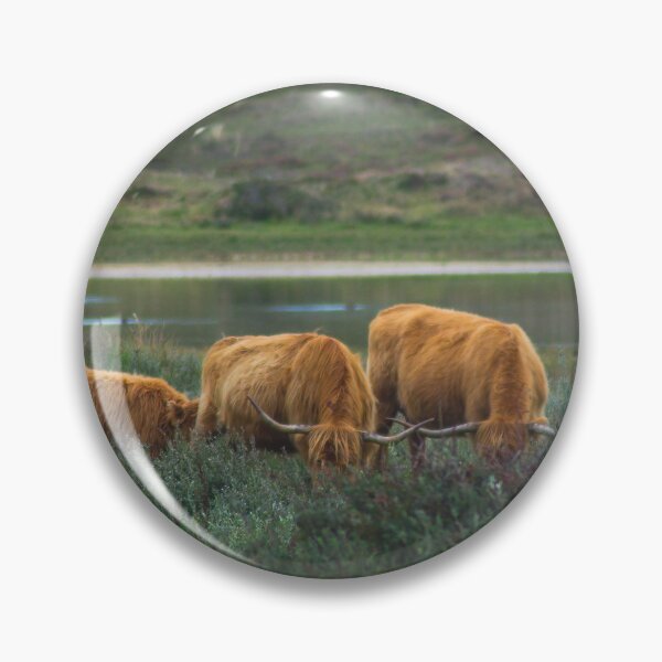 Item preview, highlander cows grazing in the field. designed and sold by koalas1414.
