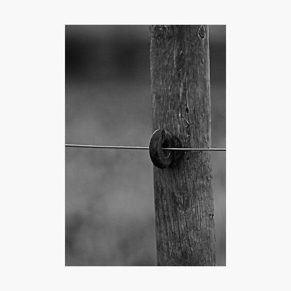 Wire on pole Photographic Print