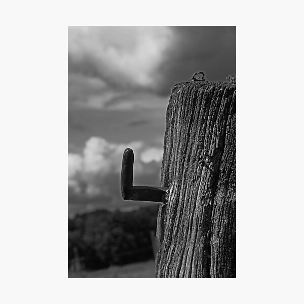 Wooden post Photographic Print