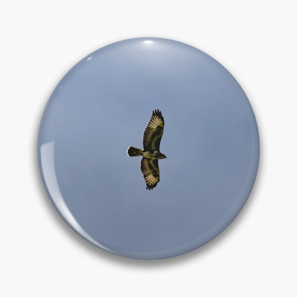 Item preview, Buzzard designed and sold by Jay Mayne.