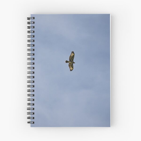 Item preview, Buzzard designed and sold by Jay Mayne.