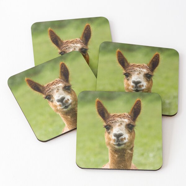 Item preview, Llama Portrait designed and sold by Jane Stanley Photography.