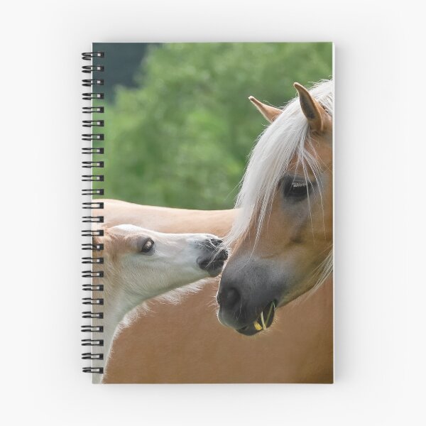 Item preview, Haflinger mare and foal cuddling designed and sold by Katho Menden.