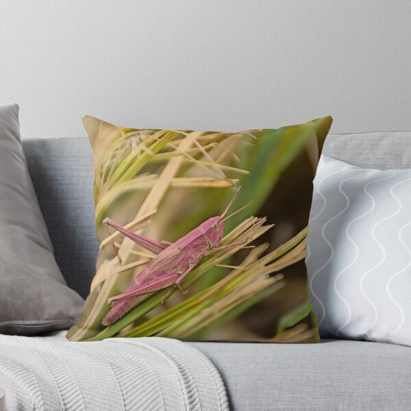Item preview, Pink grasshopper in the grass designed and sold by xophotography.