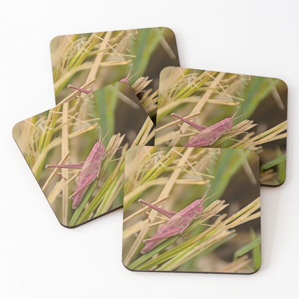 Item preview, Pink grasshopper in the grass designed and sold by xophotography.