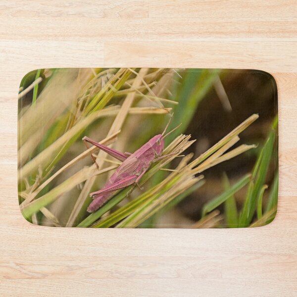 Item preview, Pink grasshopper in the grass designed and sold by xophotography.