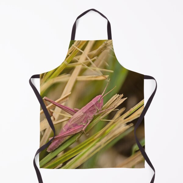 Item preview, Pink grasshopper in the grass designed and sold by xophotography.