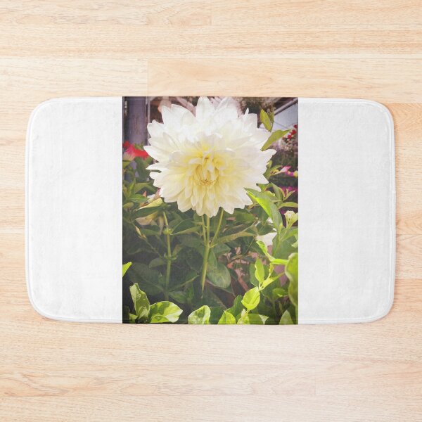Item preview, Dahlias, Montreal designed and sold by Tess Salazar Espinoza.
