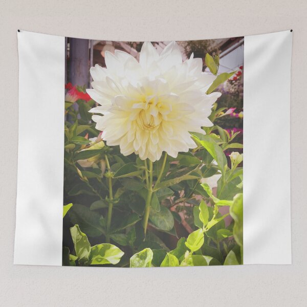 Item preview, Dahlias, Montreal designed and sold by Tess Salazar Espinoza.