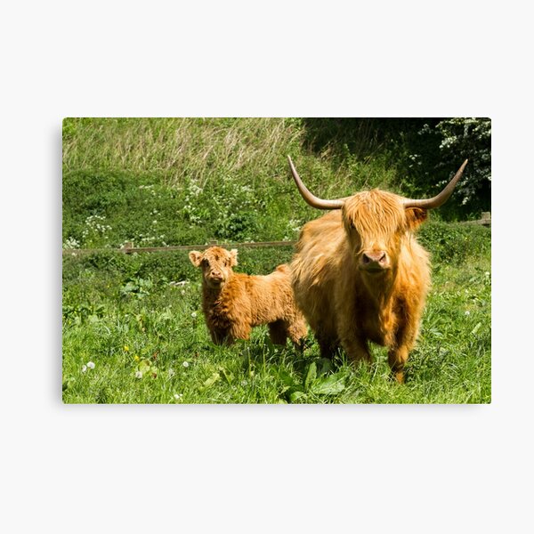 Item preview, Mother and Calf designed and sold by JStanley19.