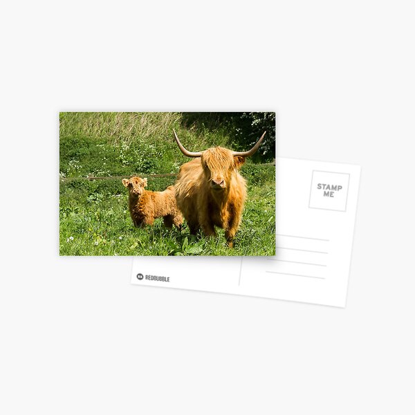 Item preview, Mother and Calf designed and sold by JStanley19.