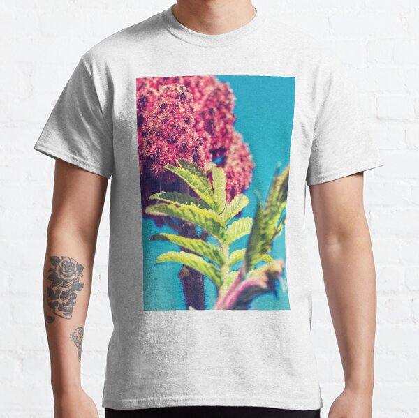 Sumac Rhus typhina également appelé Virginia Sumac close-up plante feuille de plus en plus T-shirt classique