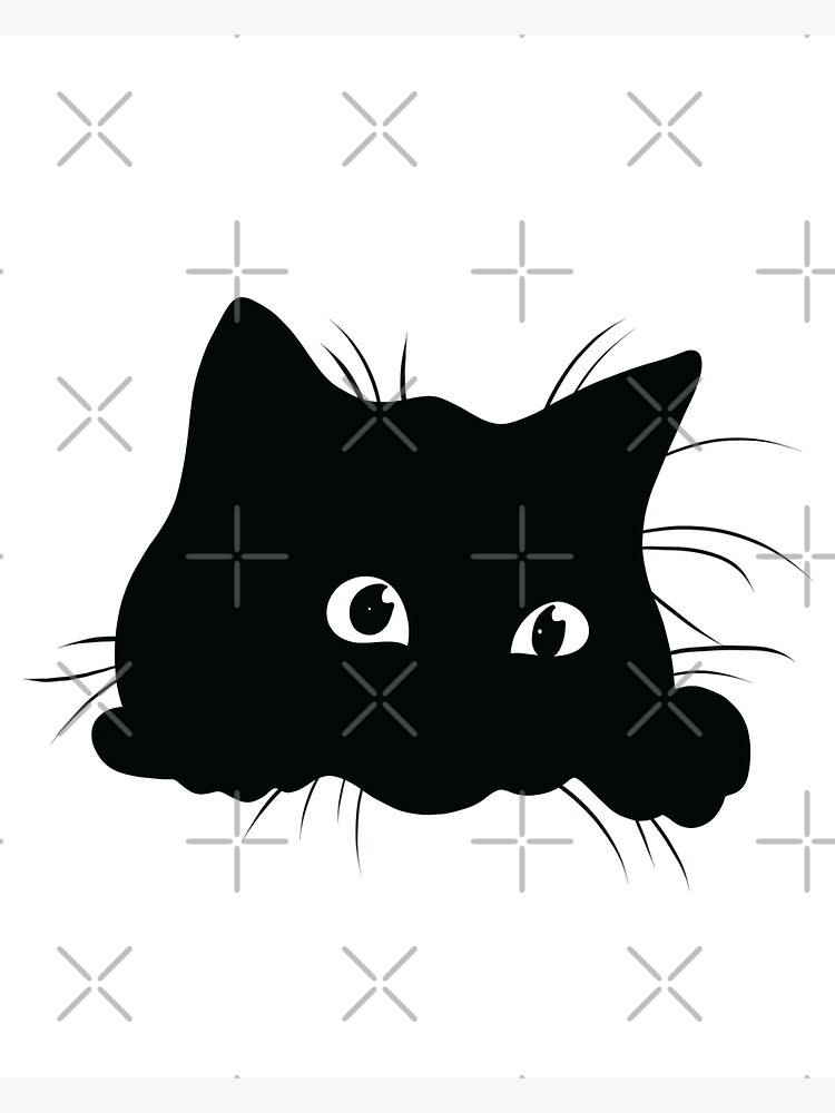 black cat iv