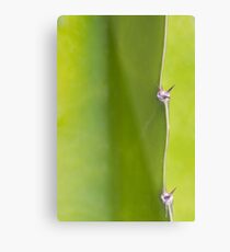 Fresh green Cactus Macro - Yellow / Green Metal Print