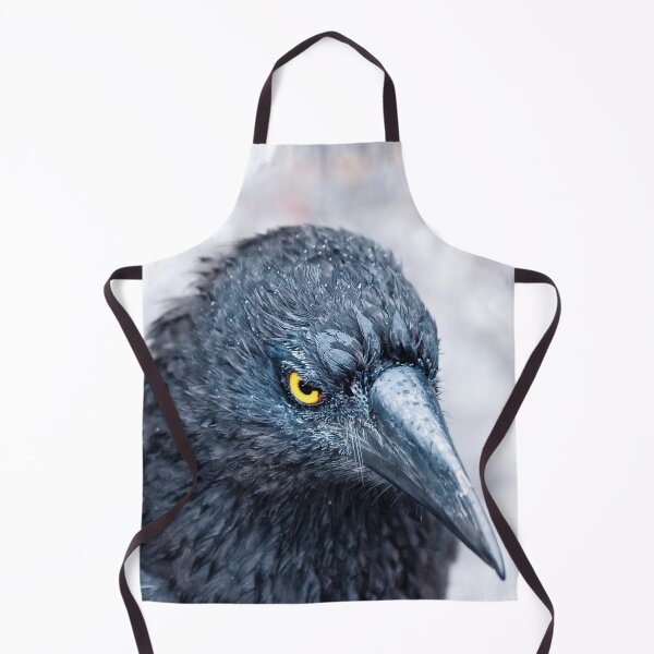 Item preview, Pied Currawong at Cradle Mountain 2. designed and sold by Alex Preiss.