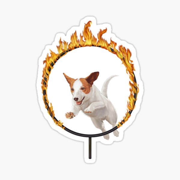 Jump through fire Sticker