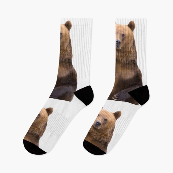 Item preview,  bear, art, animals designed and sold by Viktoriia Trubiichuk.