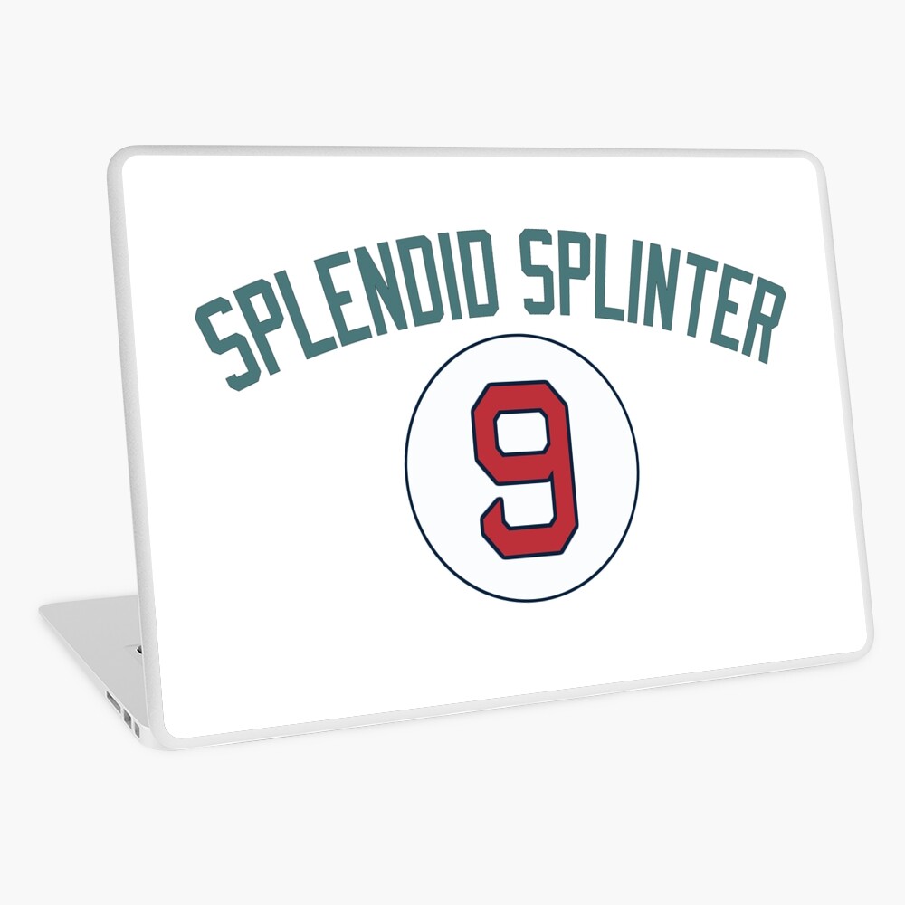 Dustin Pedroia 15 iPad Case & Skin for Sale by devinobrien