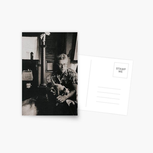 Handsome James Dean and his Cat Postcard