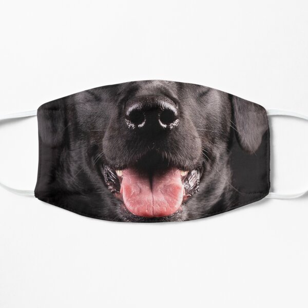Black Retriever Dog Puppy Labrador Flat Mask